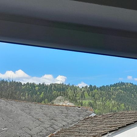 Apartamenty W Pieninach - 2 Sypialnie スロモフツェ・ビジネ エクステリア 写真