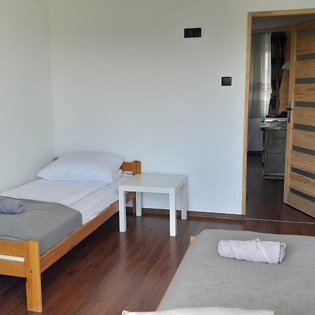Apartamenty W Pieninach - 2 Sypialnie スロモフツェ・ビジネ エクステリア 写真