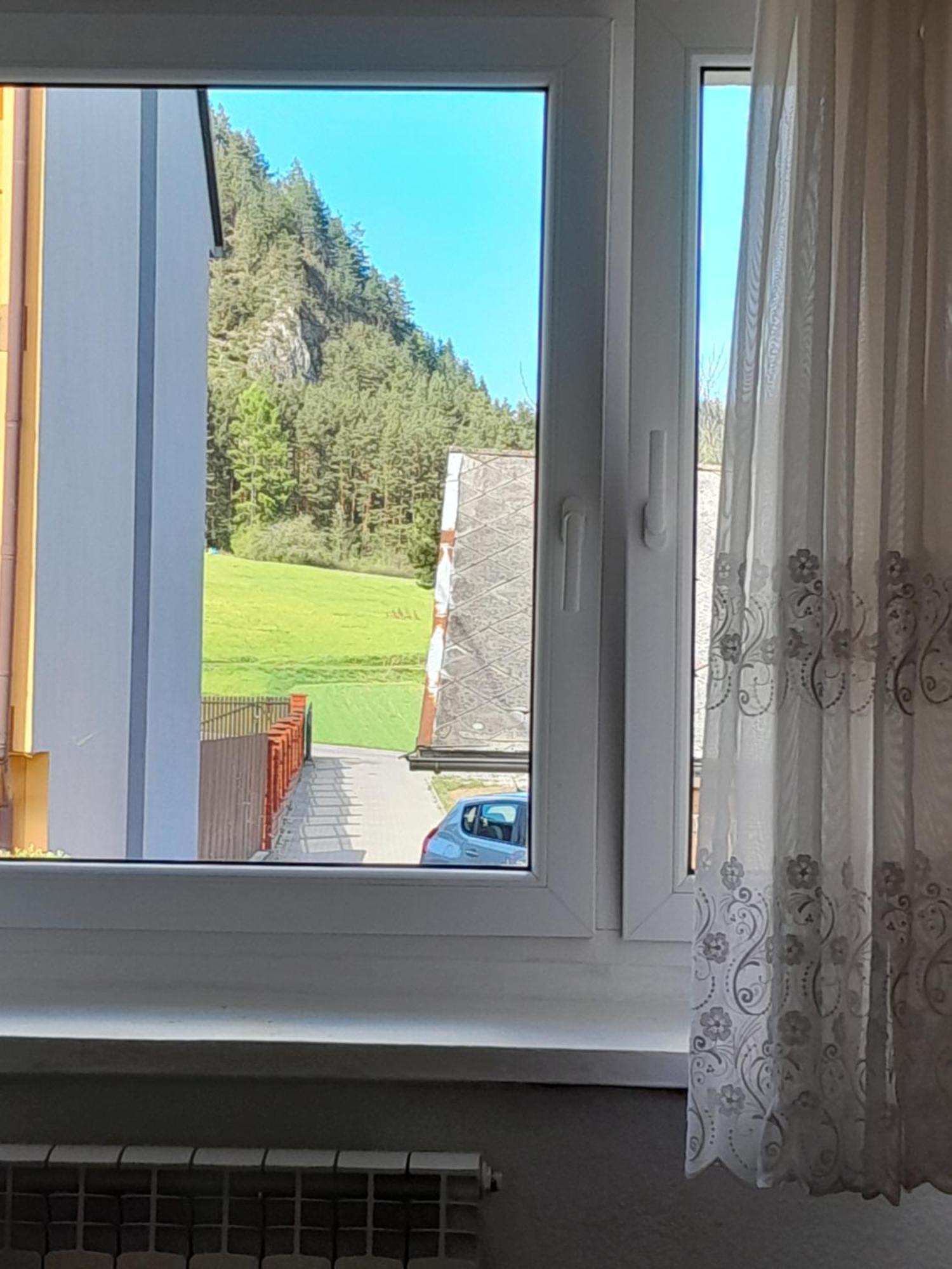 Apartamenty W Pieninach - 2 Sypialnie スロモフツェ・ビジネ エクステリア 写真
